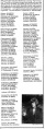 Thumbnail for version as of 15:46, 7 February 2011